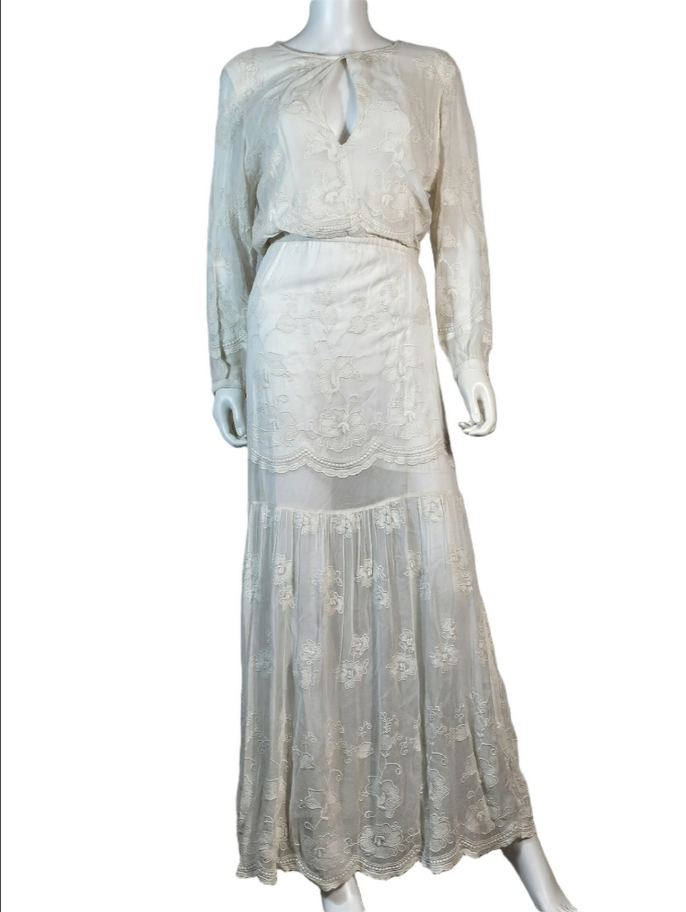 NWT Chelsea & Violet Ivory Embroidered Mesh Semi-Sheer Long Sleeve Maxi Dress - Picture 3 of 16